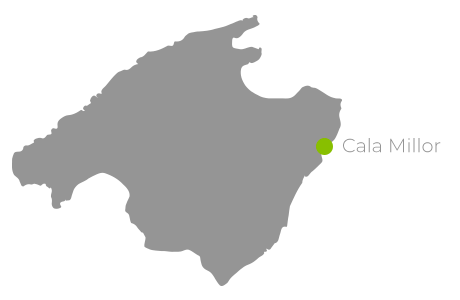 Cala Millor destino Protur Hotels
