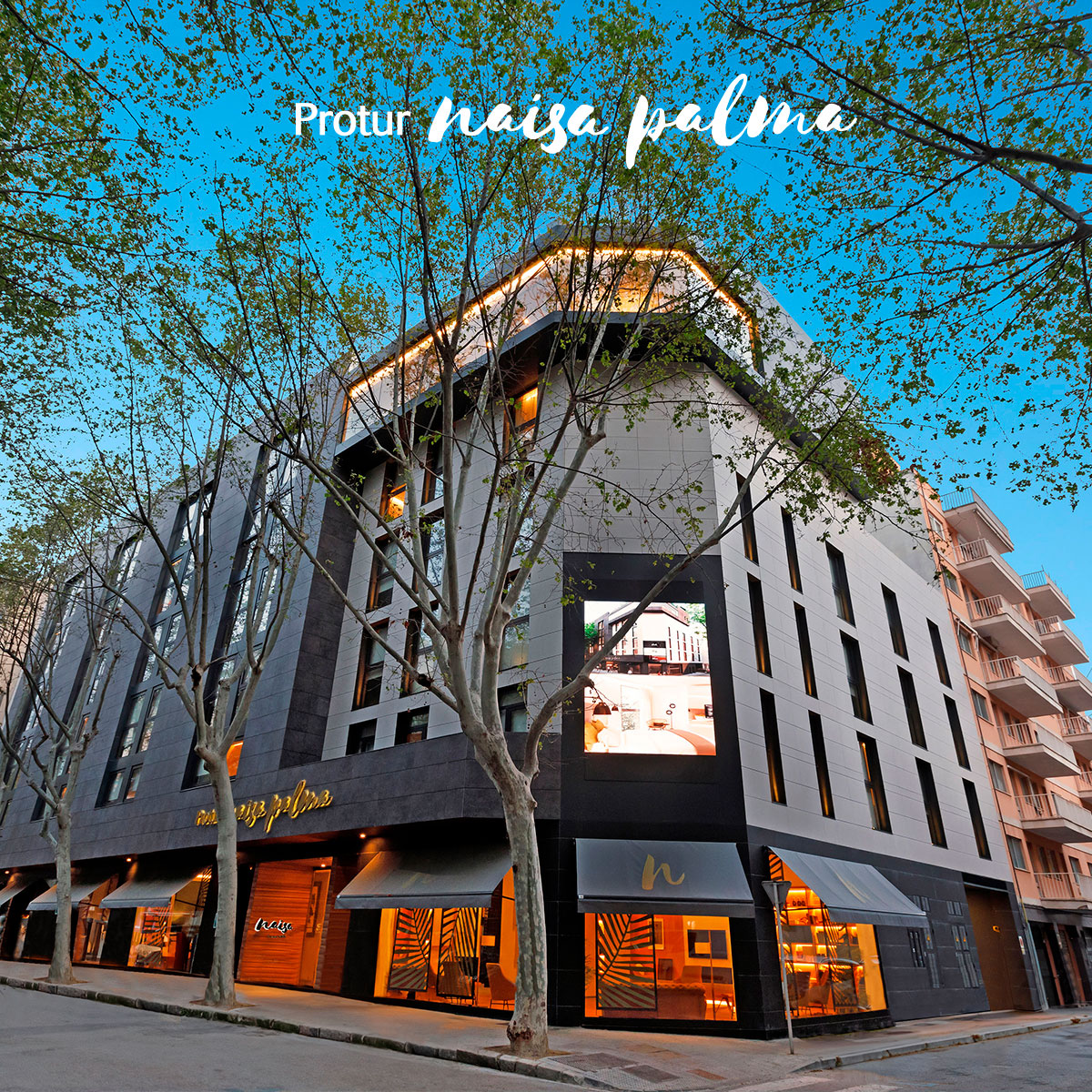 Info Hotel QR Protur Naisa Palma Hotel Info Hotel QR Protur Naisa Palma Hotel