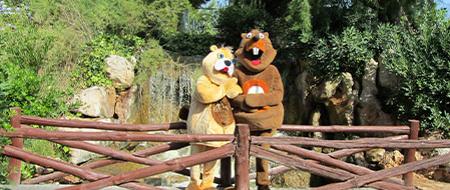 Mascota Mr & Mrs. Proty