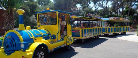 Mini Tren a la Costa de los Pinos