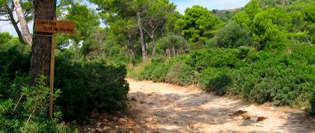 Ruta senderismo de Cala Agulla a Cala Mesquida