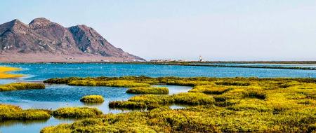 Senderismo por las Marismas de Punta Entinas