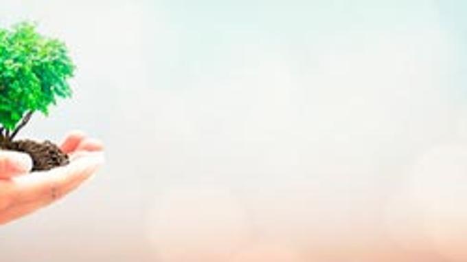 Umweltmanagement von Protur Hotels