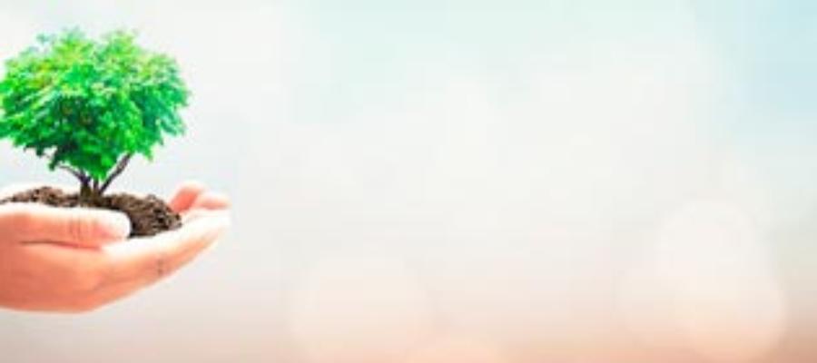 Protur Hotels' Enviromental Charter